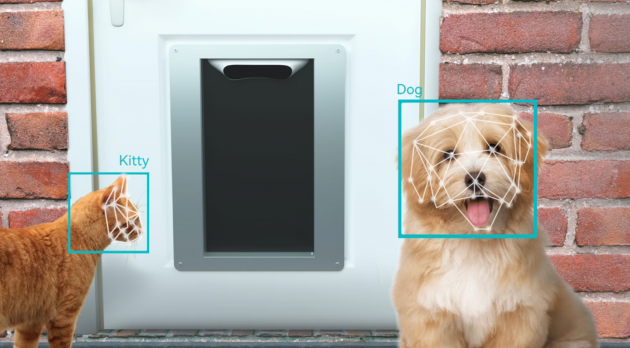 Facial recognition comes to smart pet doors