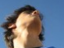 The Traveller's picture